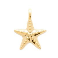 Pendentif en forme d'étoile de mer en plaqué or jaune 18 carats.
