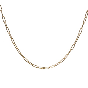 Collier composé d'une chaîne en acier doré. Fermoir mousqueton avec 5 cm de rallonge.