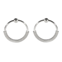 Boucles d'oreilles pendantes avec un cercle en acier argenté.