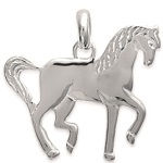 Pendentif en argent 925/000.