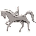 Pendentif en argent 925/000.