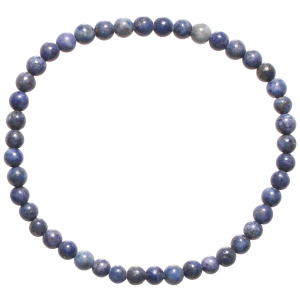 1LC4564L