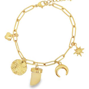 Ce bracelet à breloques en acier doré offre un éclat chaleureux et un style personnalisé. Les motifs variés, allant du trèfle porte-bonheur au croissant de lune mystique, en passant par une étoile scintillante, confèrent une originalité captivante. Le fermoir ajustable assure un confort parfait et un maintien sécurisé. Fermoir mousqueton avec 3 cm de rallonge.