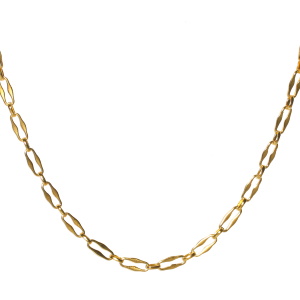 Collier composé d'une chaîne en acier doré. Fermoir mousqueton avec 5 cm de rallonge.