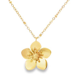 Collier Acier