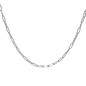 Collier composé d'une chaîne en acier argenté. Fermoir mousqueton avec 5 cm de rallonge.