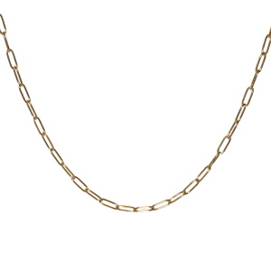 Collier composé d'une chaîne en acier doré. Fermoir mousqueton avec 5 cm de rallonge.