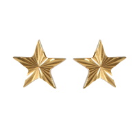 Boucles d'oreilles en forme d'étoile en acier doré.