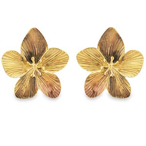 Sublimes boucles d'oreilles en acier doré, une délicate interprétation florale pour orner vos oreilles. Ces boucles d'oreilles, finement ouvragés, capturent la lumière et illuminent votre visage. Un accessoire raffiné et élégant, parfait pour ajouter une touche de sophistication à votre tenue quotidienne ou pour une occasion spéciale.