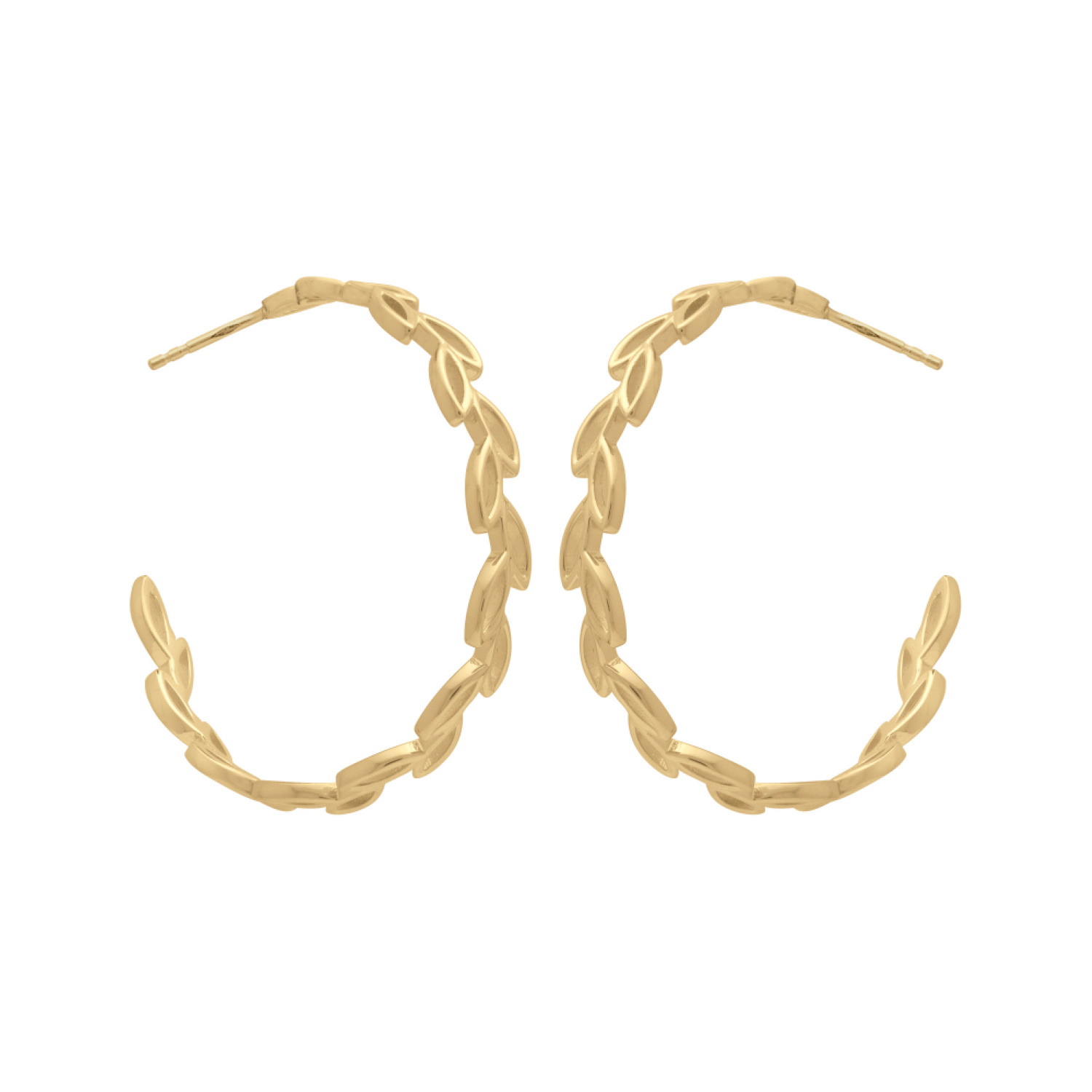Boucles d'oreilles créoles ouvertes en forme de branche de laurier en plaqué or jaune 18 carats. Créoles Laurier  Adolescent Adulte Femme Fille Indémodable Nature Symboles 