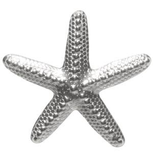 Broche en forme d'étoile de mer en acier argenté.