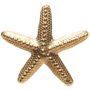 Broche en forme d'étoile de mer en acier doré.