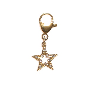 Breloque charm's en forme d'étoile en acier doré serti de strass.