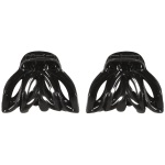 Lot de 2 pinces crabe en plastique noir.