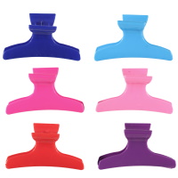 Pince pour cheveux en plastique de couleur. 6 coloris différents. Vendu à l'unité.