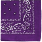 Bandanas en coton prune.