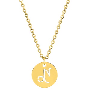 Magnifique collier chaîne en acier doré avec un pendentif rond gravé du signe astrologique du capricorne. Fermoir mousqueton avec 5 cm de rallonge.