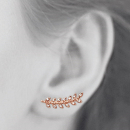 Boucles d'oreilles branches de laurier en plaqué or rose et oxydes de zirconium. Laurier  Adolescent Adulte Femme Fille Indémodable Nature Symboles 