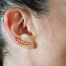 Boucles d'oreilles feuilles en plaqué or jaune 18 carats. Feuille Laurier Pendantes  Adolescent Adulte Femme Fille Indémodable Nature 