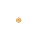 Pendentif Lion en plaqué or 18 carats.<br/>Le pendentif n'est pas parfaitement rond pour donner un effet naturel et vieilli.<br/>Le verso est brossé. Lion  Adolescent Adulte Animaux Astrologie Femme Fille Indémodable 